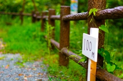 ランニングロード