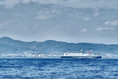ＭＳ　hokuren