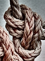 Ｔｈｅ　Knot