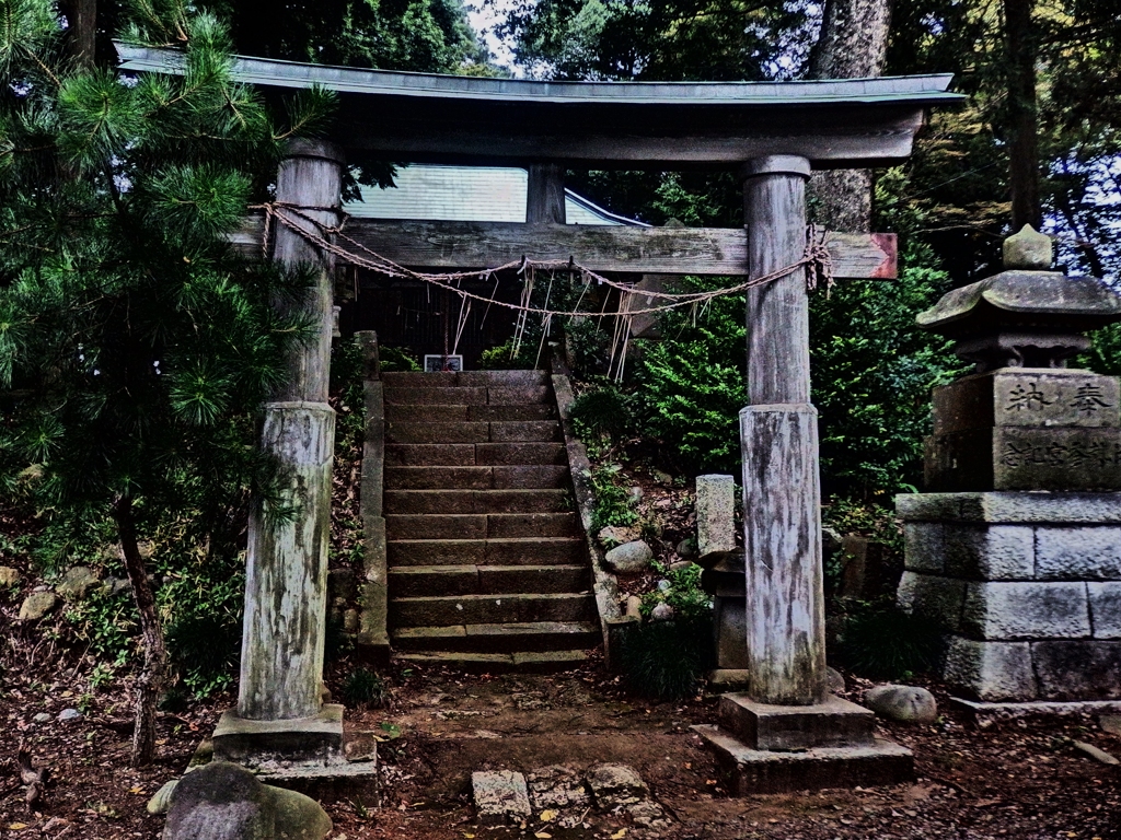 願