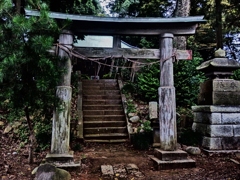 願