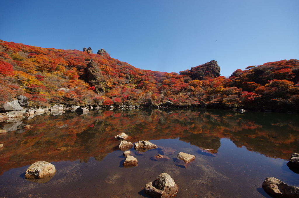 くじゅう大船山の紅葉