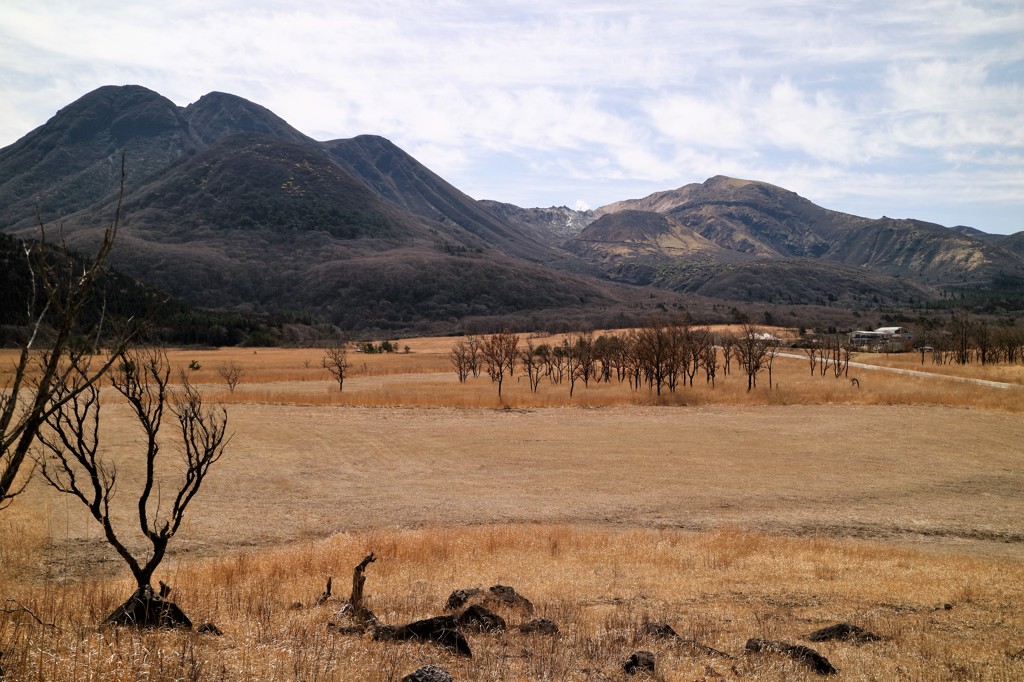 大分の風景：早春のくじゅう高原