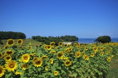 大分の風景　豊後高田市