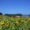 大分の風景　豊後高田市