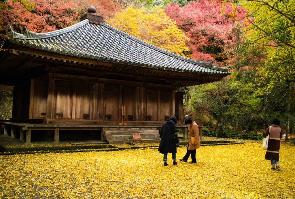 落ち葉の伽藍（国宝富貴寺）