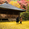 落ち葉の伽藍（国宝富貴寺）