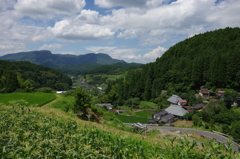 里山の夏