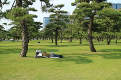 いいなぁ♪