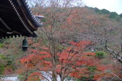 南禅寺の紅葉
