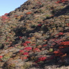 大分の山・くじゅう紅葉