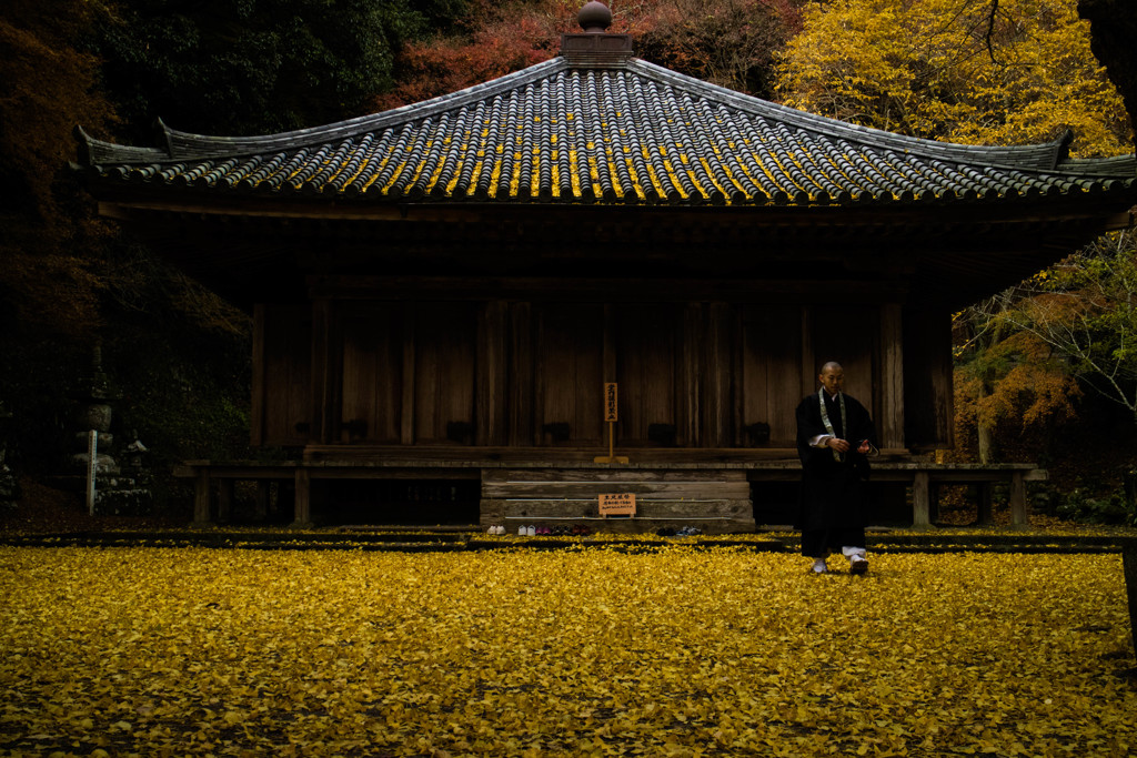 落ち葉の伽藍（国宝富貴寺）