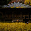 落ち葉の伽藍（国宝富貴寺）