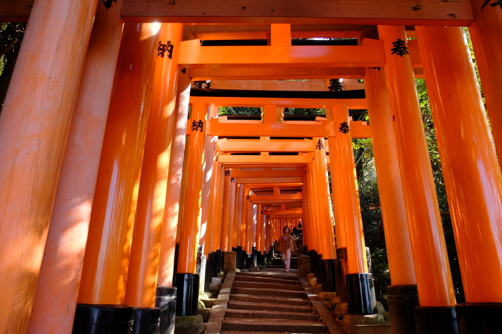 伏見稲荷神社