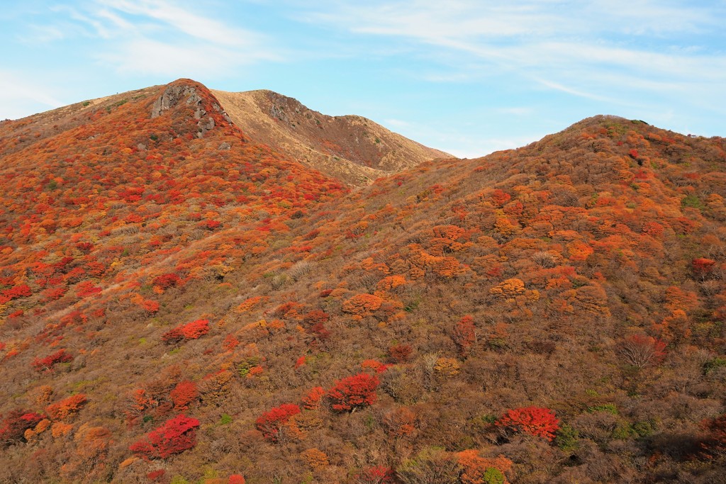 紅葉に染まる：くじゅう