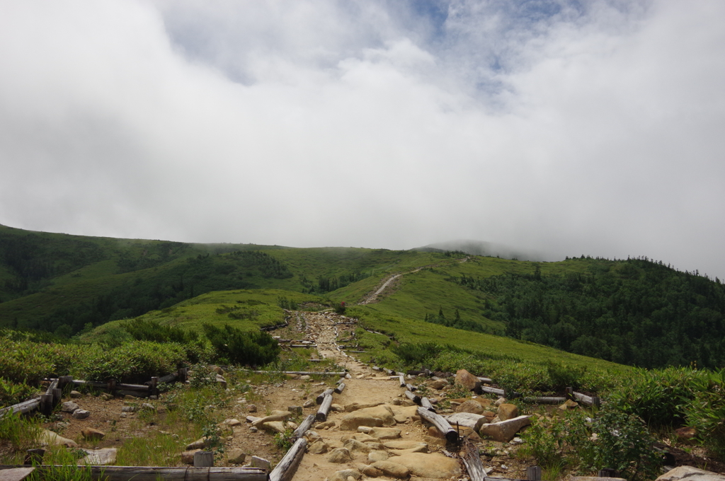 山旅：薬師岳への道