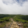 山旅：薬師岳への道