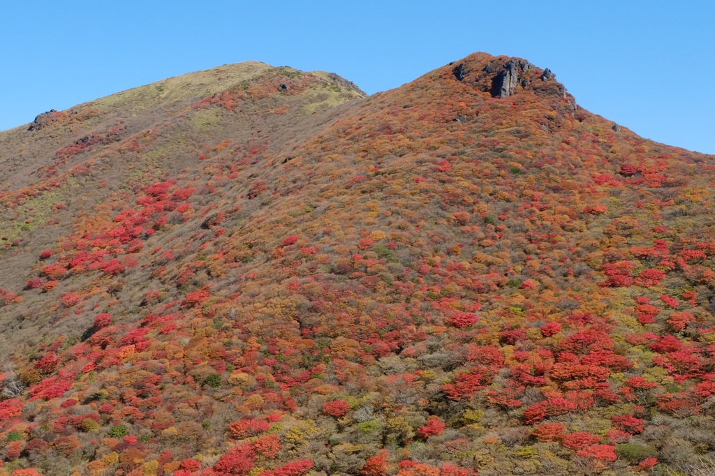 大分の山・星生山