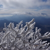 由布岳霧氷