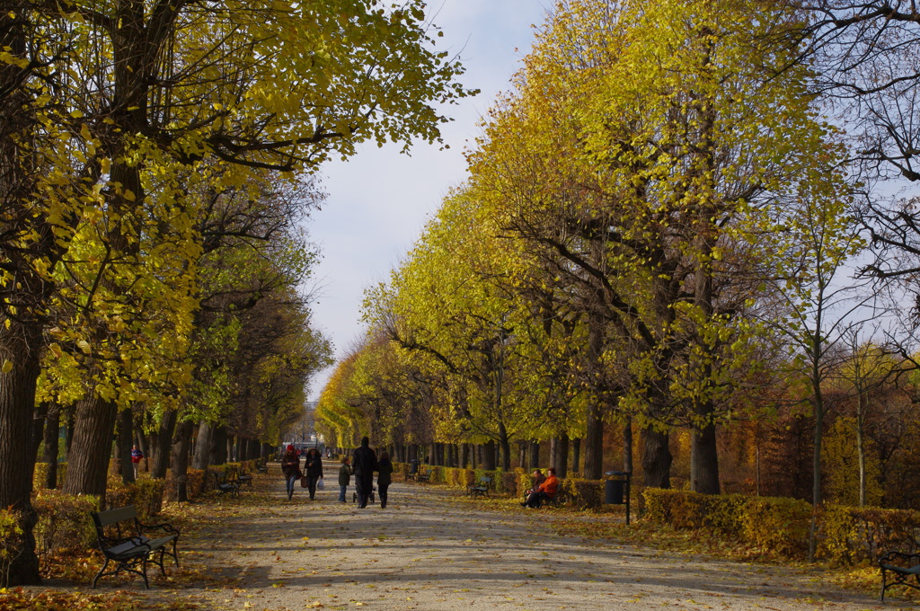 旅の写真館：秋色ウィーン