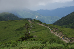 山旅：薬師岳への道