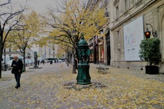 旅の写真館：パリ「落ち葉の舗道」