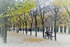 旅の写真館：パリ「落ち葉の公園」