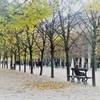 旅の写真館：パリ「落ち葉の公園」