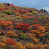 くじゅう・大船山の紅葉