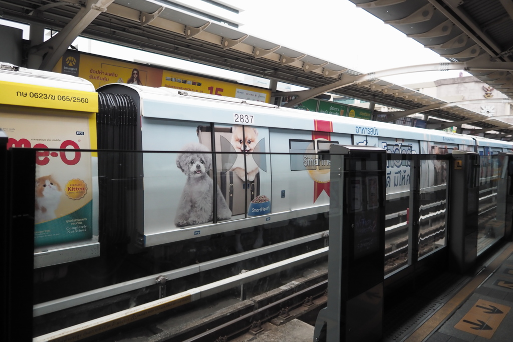 in the distance・・電車