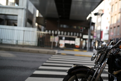 横顔