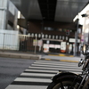 横顔
