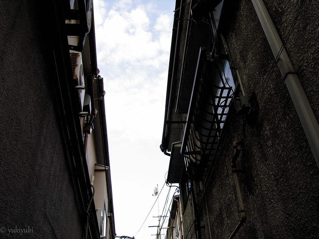 路地を見上げて