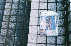 捨て去られたもの