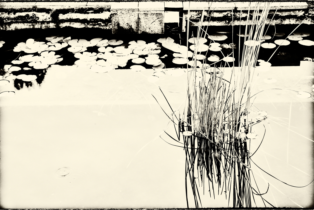 不思議な映り込み