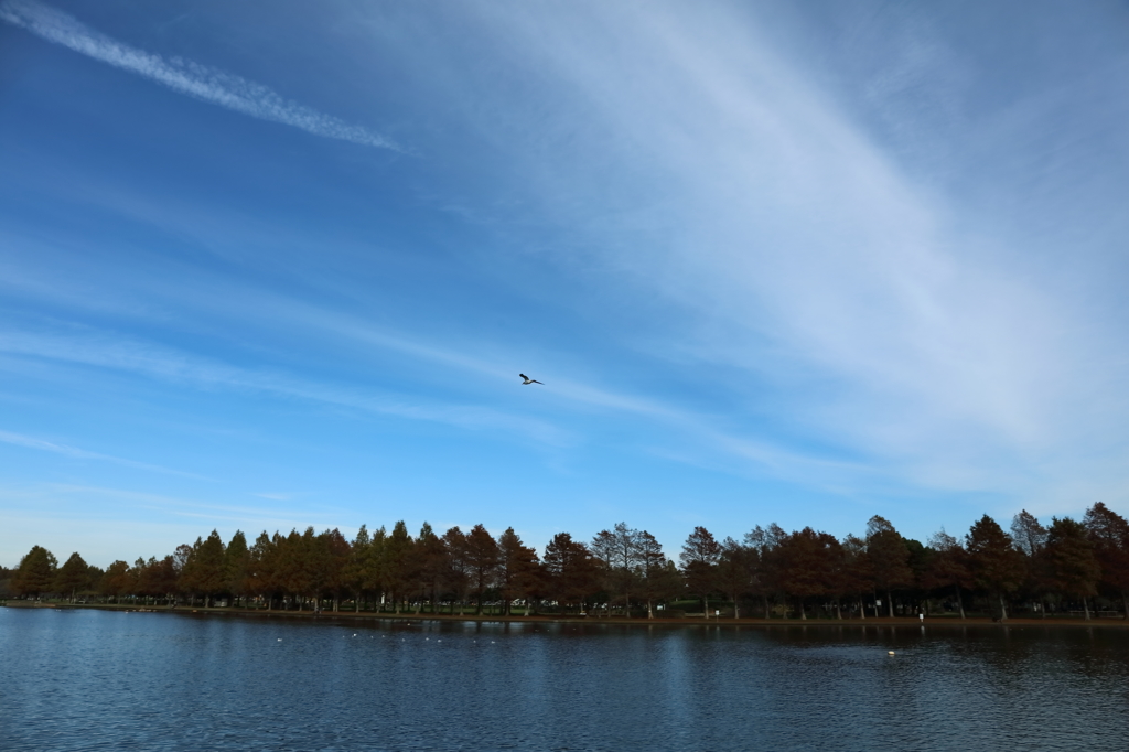 ブルースカイブルー