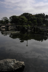 園の映り