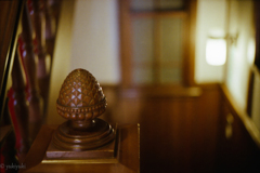 猫神家の一族　ＮＯ２