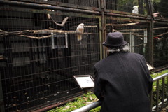 話しかけていたおっさん