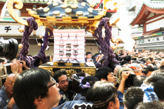 朝の散歩は宮出し　ＮＯ4