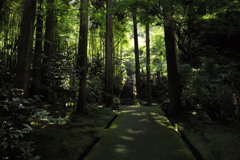 行けば分かるさ