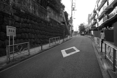 忍ぶ不忍、無縁坂・・ささやかな僕の母の人生