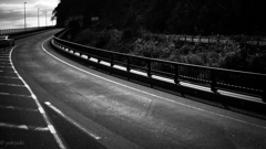 伊豆路　いけば分かるさ