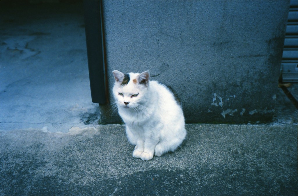 うしろの百太郎