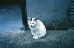 うしろの百太郎