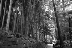 何となくここに居た