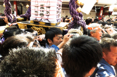 朝の散歩は宮出し　ＮＯ３