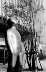 見上げてごらん