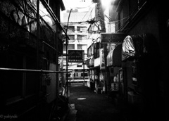 ムーン