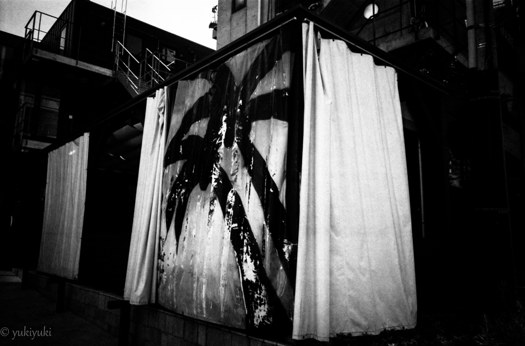 パラダイスなカーテン